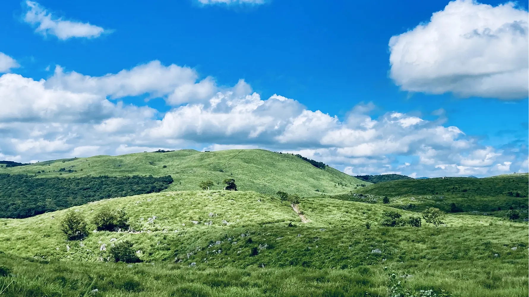 秋吉台カルストロードの風景