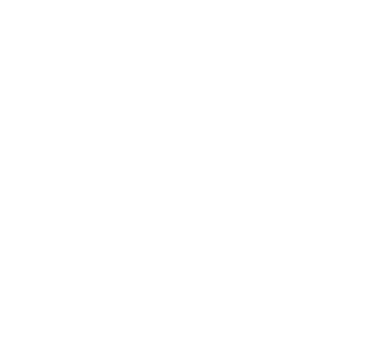 Suwa City